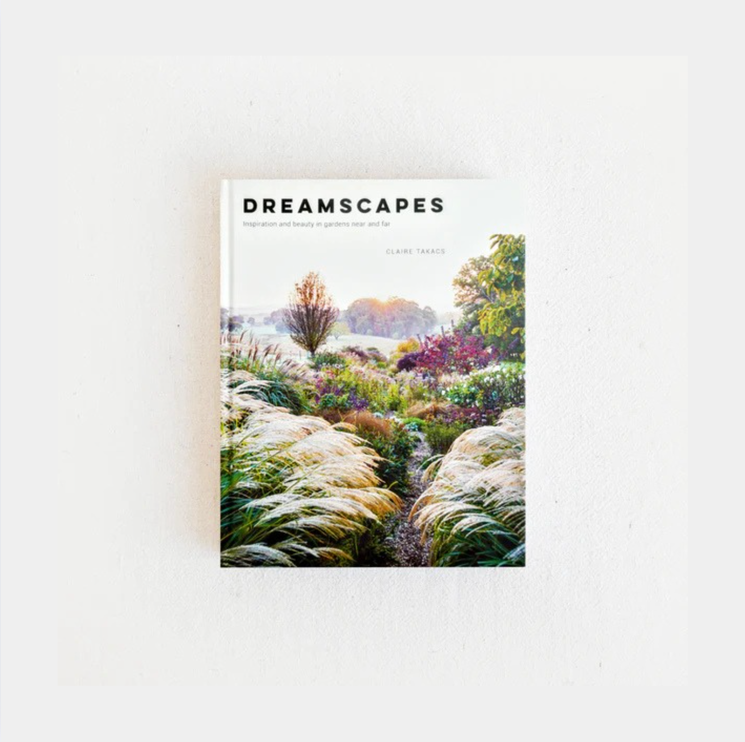 Dreamscapes Inspiration
